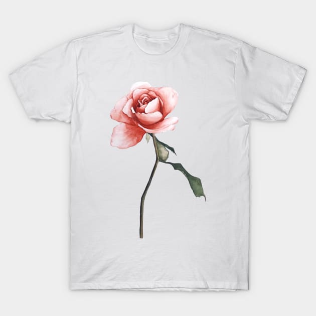 Pink rose watercolor T-Shirt by K-pop design shop